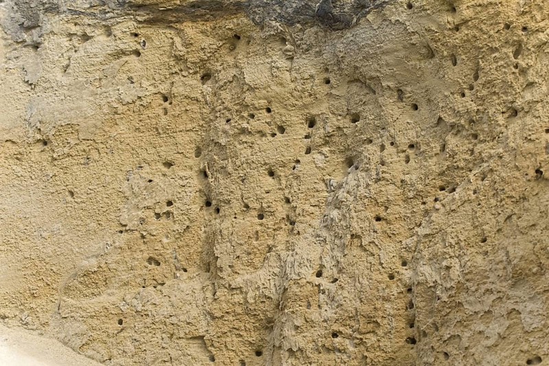 Mining Bee
