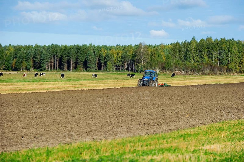 Tractor ploughing arable field