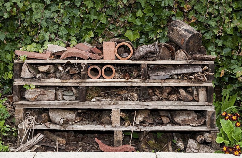 'Insect Hotel' habitat creation on primary school premises