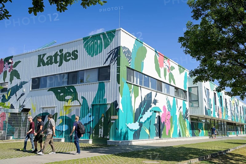 Katjes