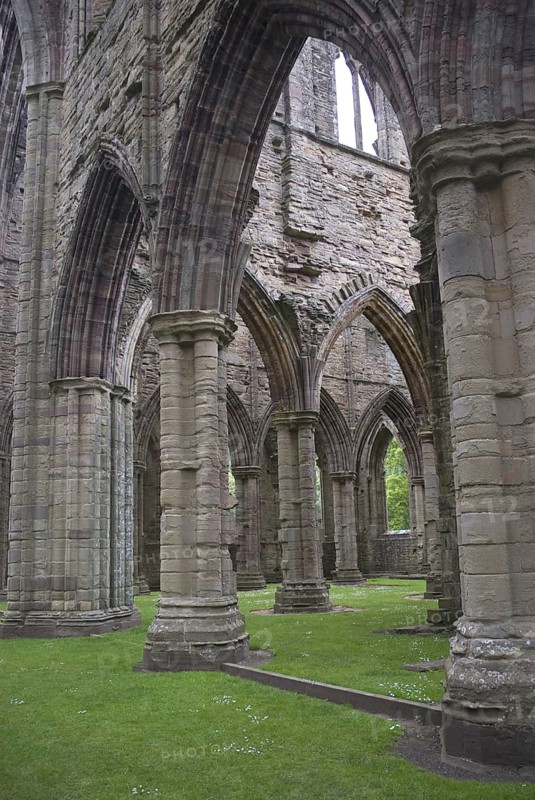Columns in Cistercian abbey ruins