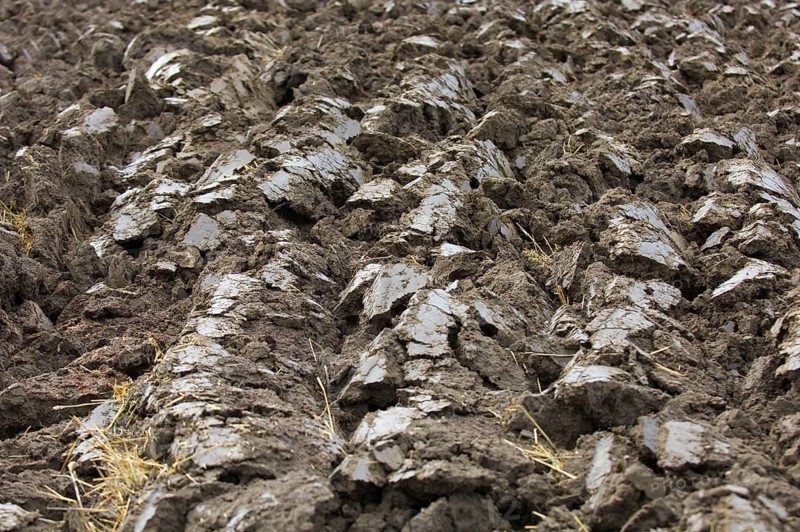 Close-up of furrows in newly ploughed field
