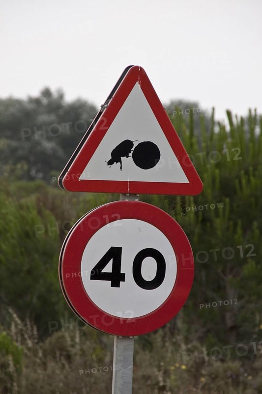 Road signs