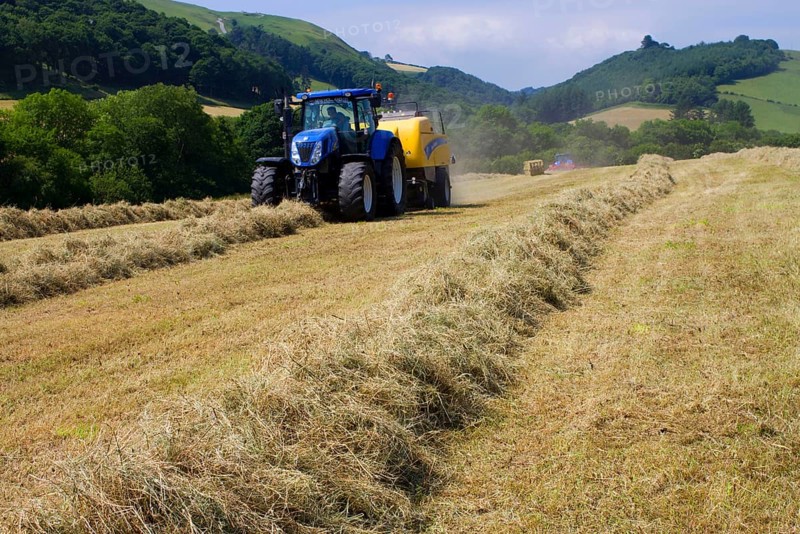 Contractor with New Holland T7040 tractor and New Holland big baler baling hay on organic farm