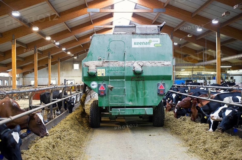Dairy farming