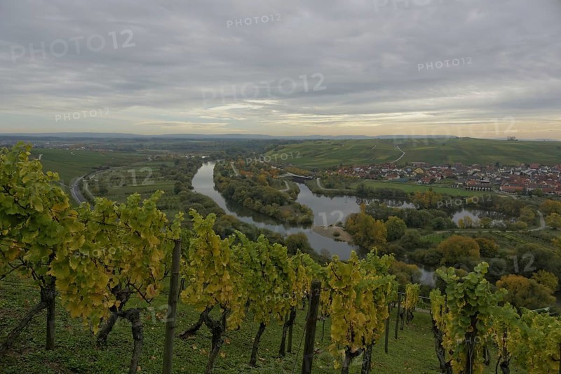 Vineyards