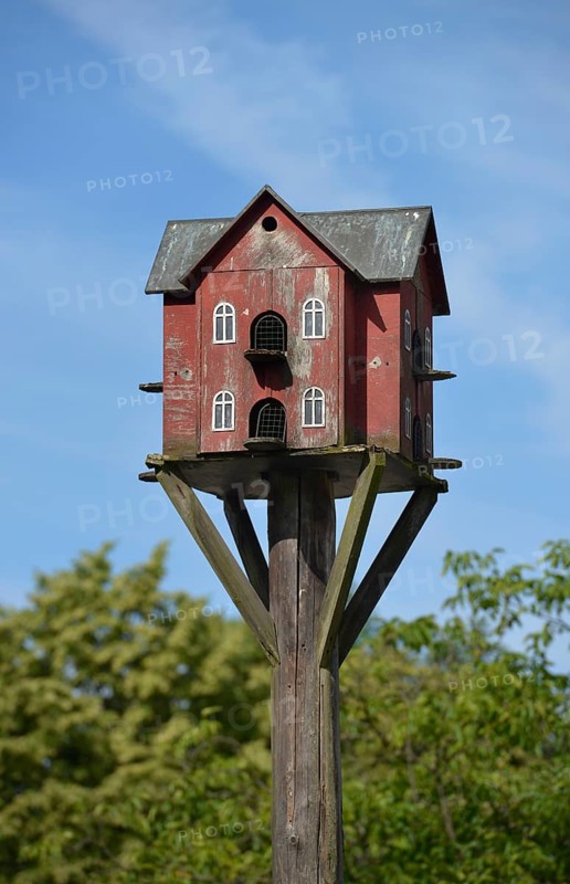 Bird House