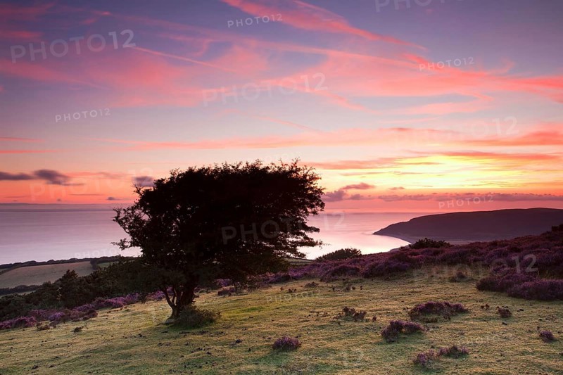 View of the coastline at sunrise
