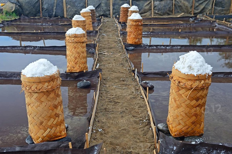 Sea salt harvested and packed for drying