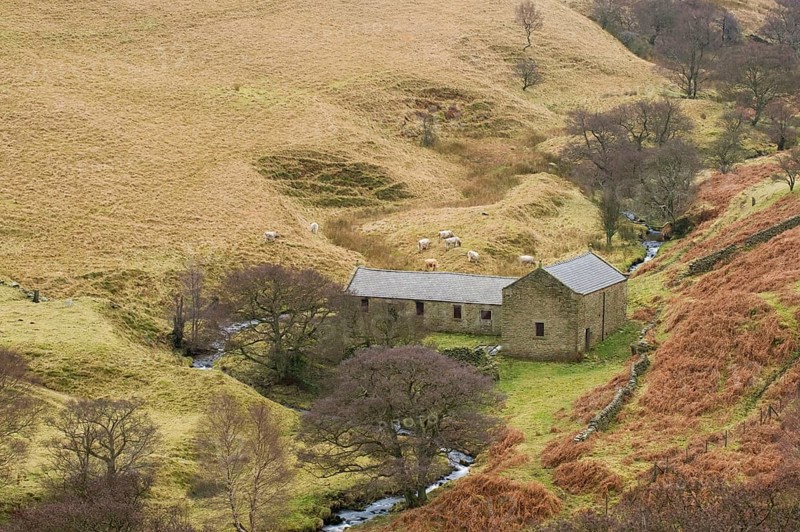 Moorland valley with stream
