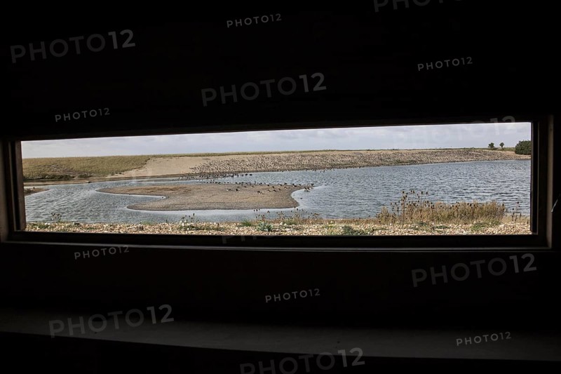 Looking out from Roost hide at RSPB Snettisham. Resting flock of mainly oystercatchers on the autumn high tide