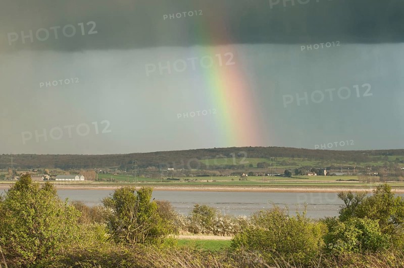 Rain clouds and rainbow over coastal estuary habitat