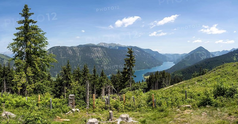 View from the Naggler Alm to the Weissensee
