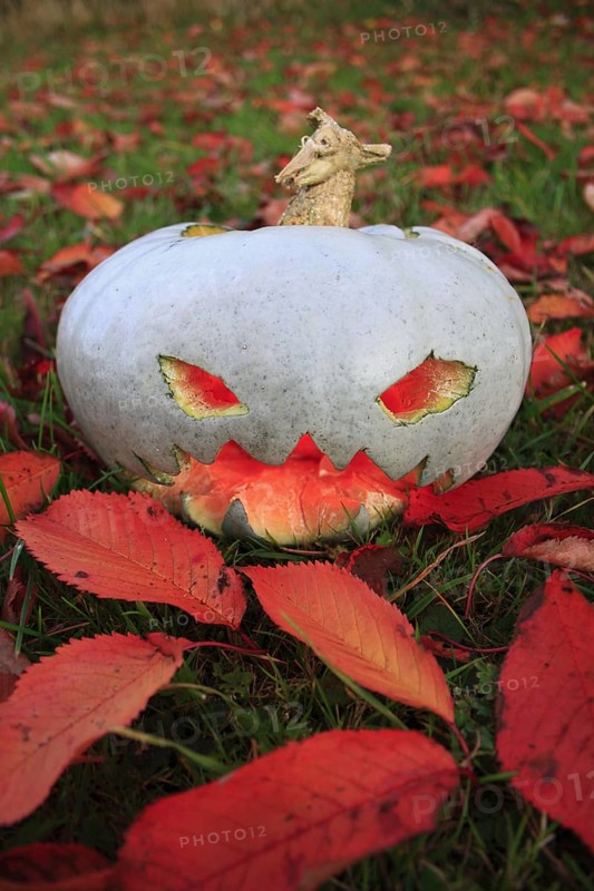 Pumpkin