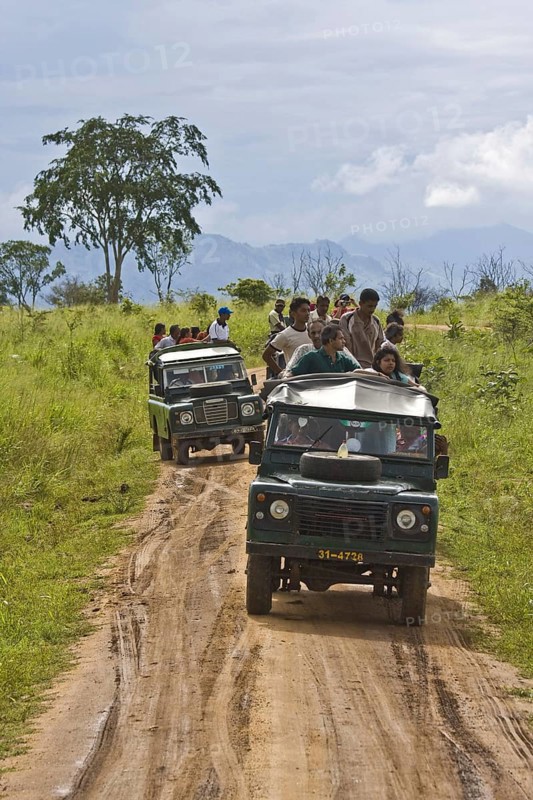 Tourist visit to Udawalawe National Park
