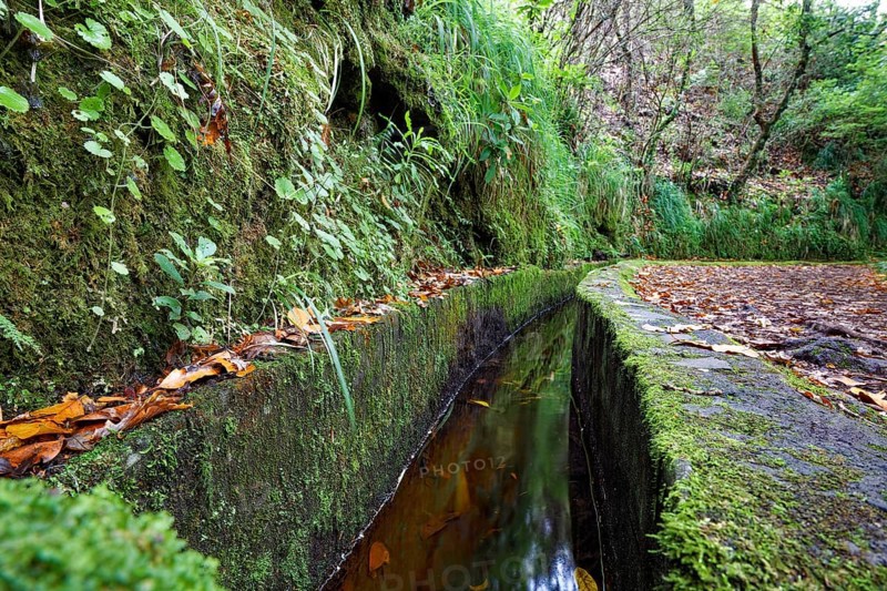 Right levada trail