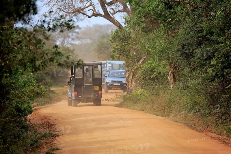 Safari vehicle