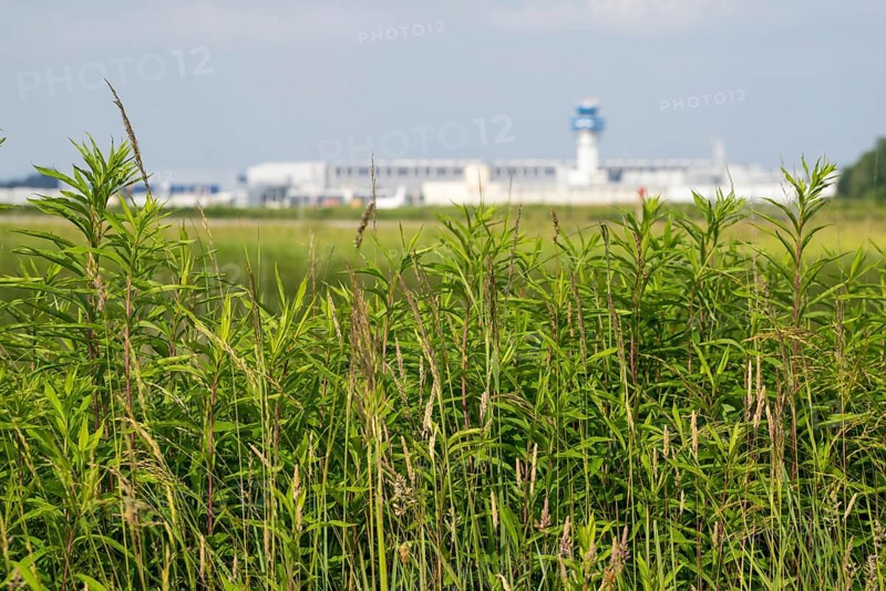 View of Cologne/Bonn Airport