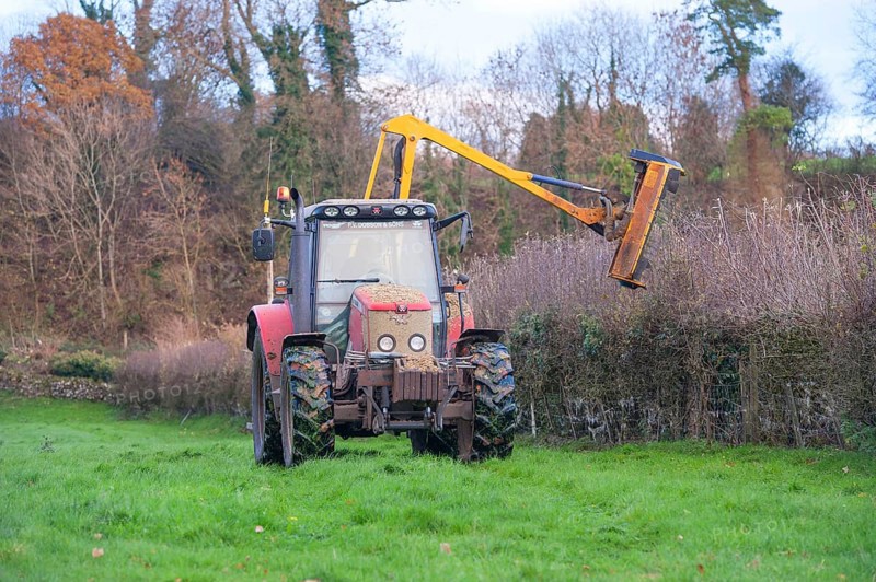 Massey Ferguson with flail cutter