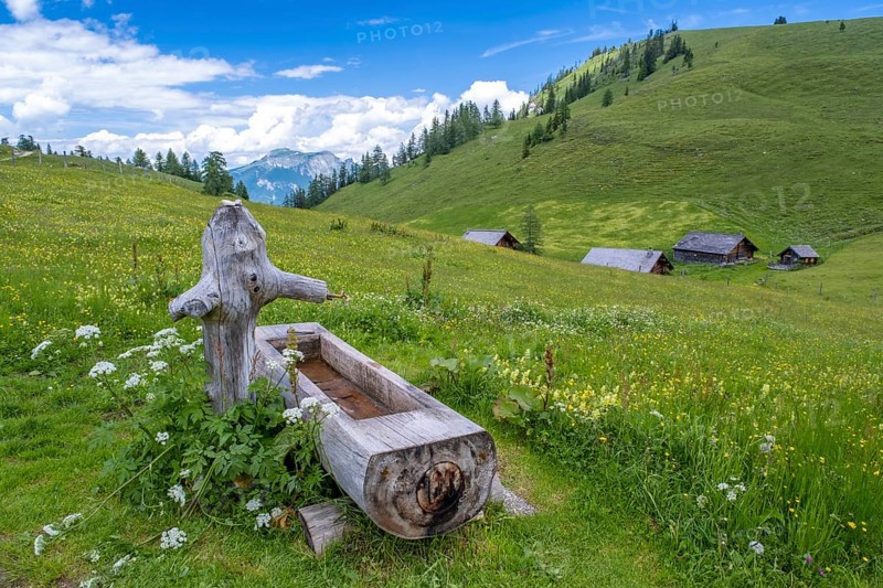 Wooden drinking trough on the Postalm in the Salzkammergut