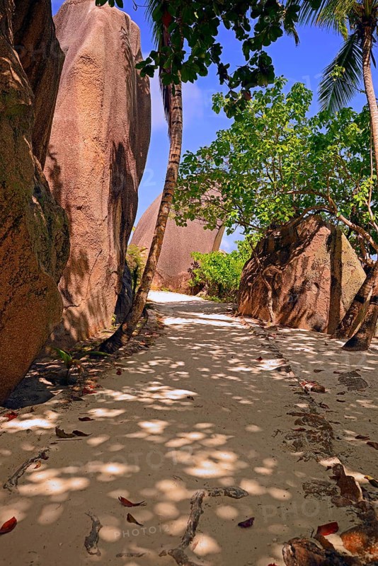 Palm trees and granite rocks on the dream beach Source d'Argent