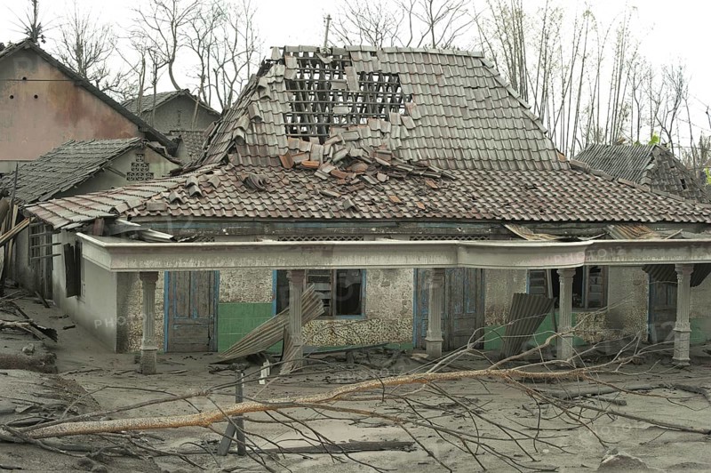 Ash-covered roof of a damaged house and dead trees