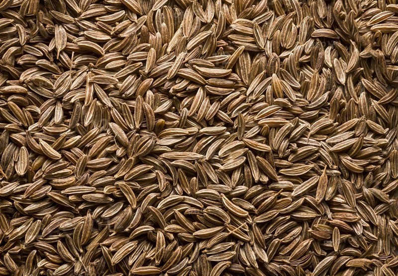 Caraway