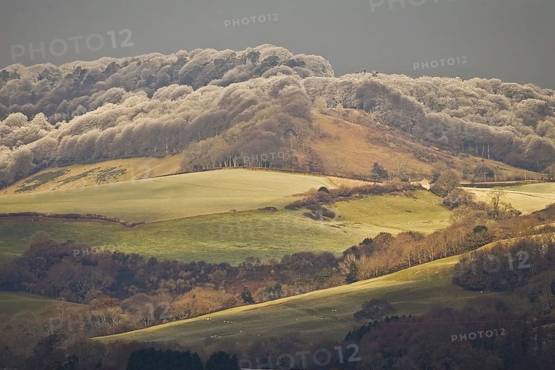 View of farmland with rime frost on trees of hilltop forest