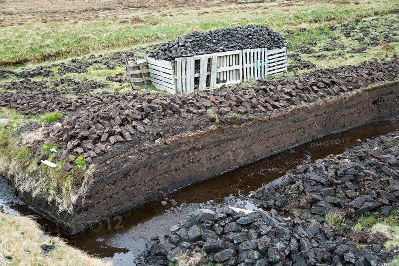 Turf