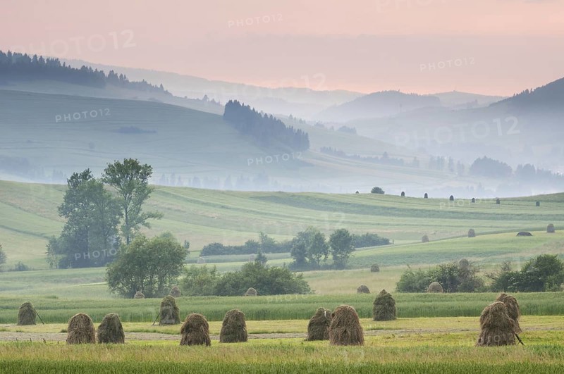 Hay ricks in montane meadow at sunset