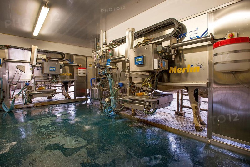 Dairy farming