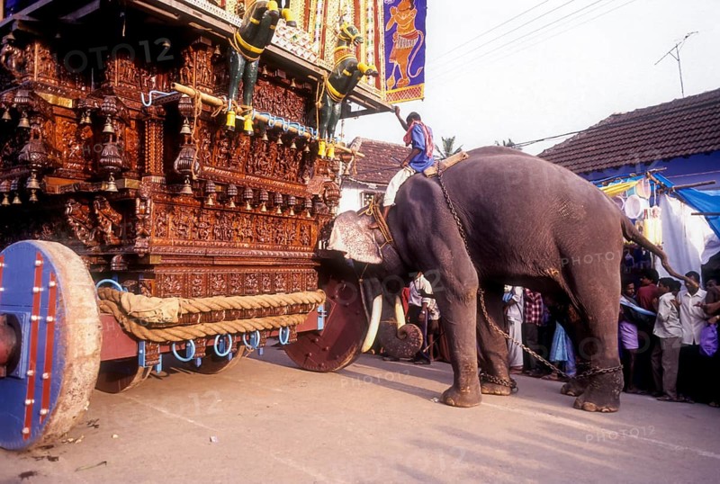 Elephant pushing the chariot in Radhotsavam or temple chariot festival in Kalpathy near Palakkad