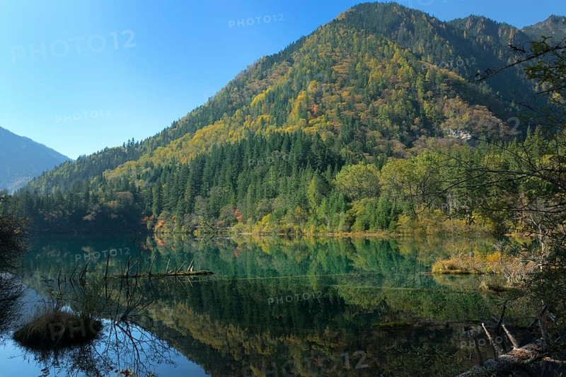 Arrow Bamboo Lake