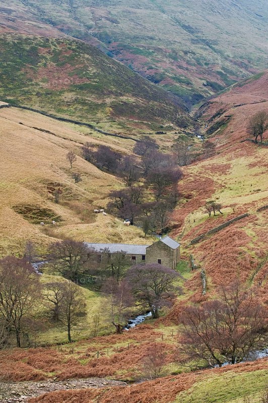 Moorland valley with stream