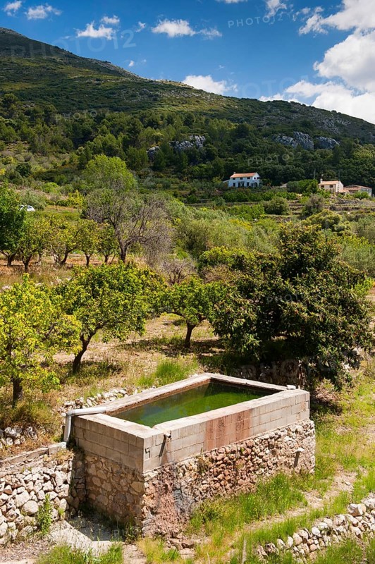 Water reservoir for almond and citrus orchards