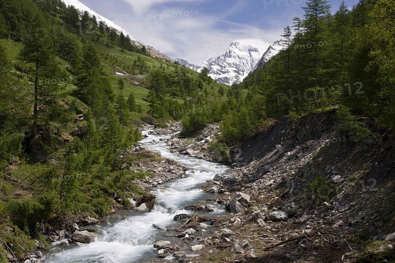 Alpine river in wooded valley environment
