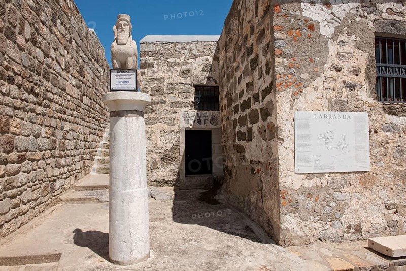 Sphinx with beard and wings on pillar