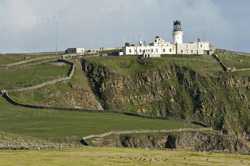 View of cliff pasture and distant lighthouse