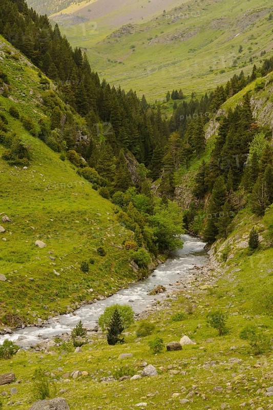 View of mountain valley stream habitat