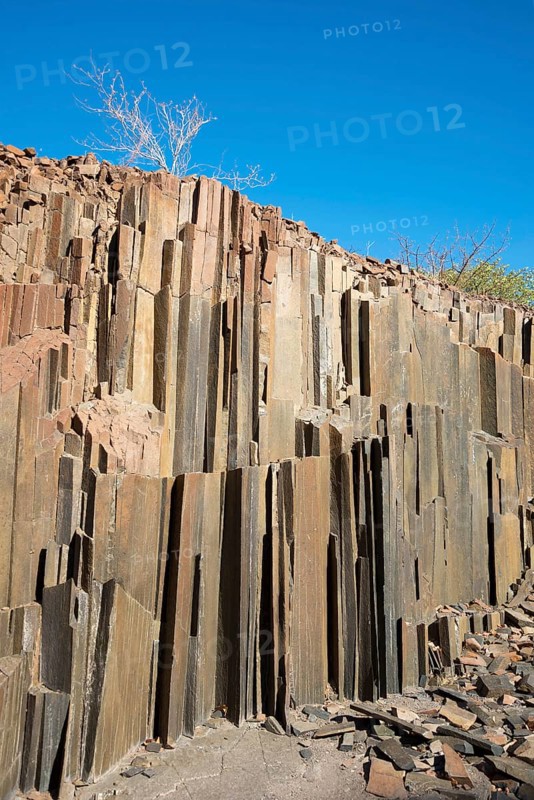 Organ pipes