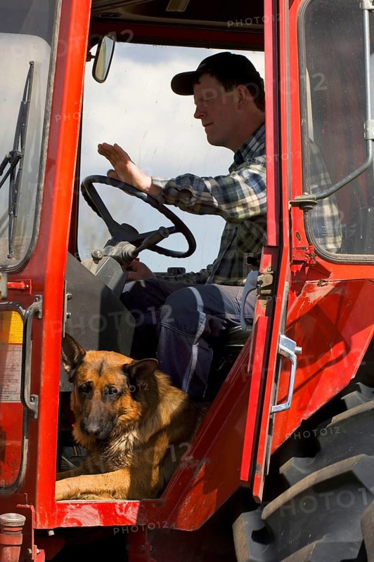Farmer with German shepherd dog