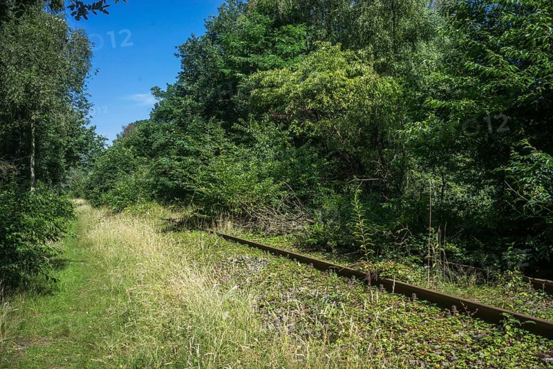 Old railway line