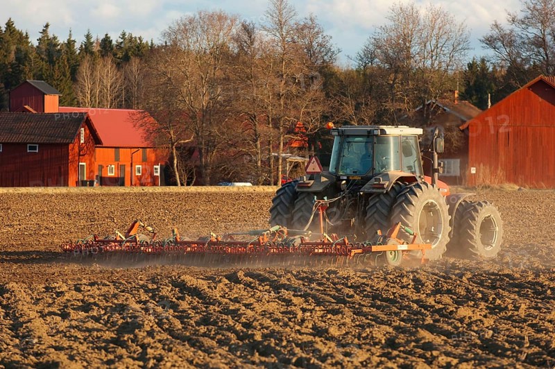 Massey Fergusson 6290 tractor with harrows