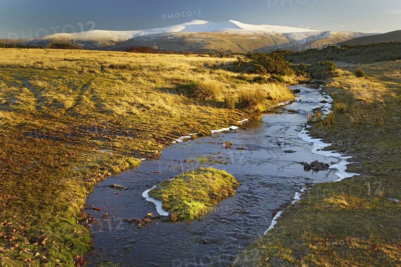 View of stream in Highland Common