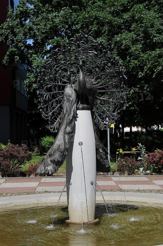 Peacock Fountain