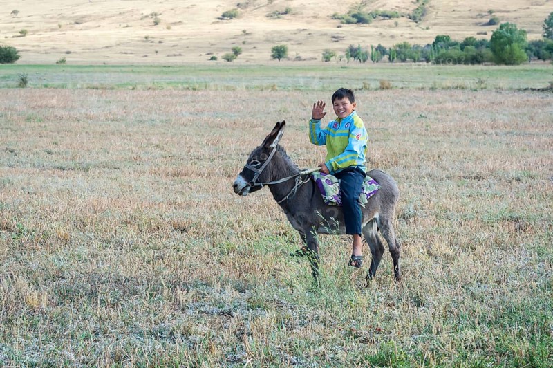 Traditional Kokpar or Buzkashi in the outskirts of Gabagly National Park