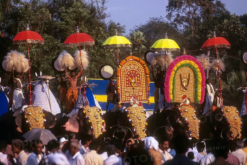 Decorated elephants in Chinnakathoor Pooram festival procession near Palakkad or Palghat