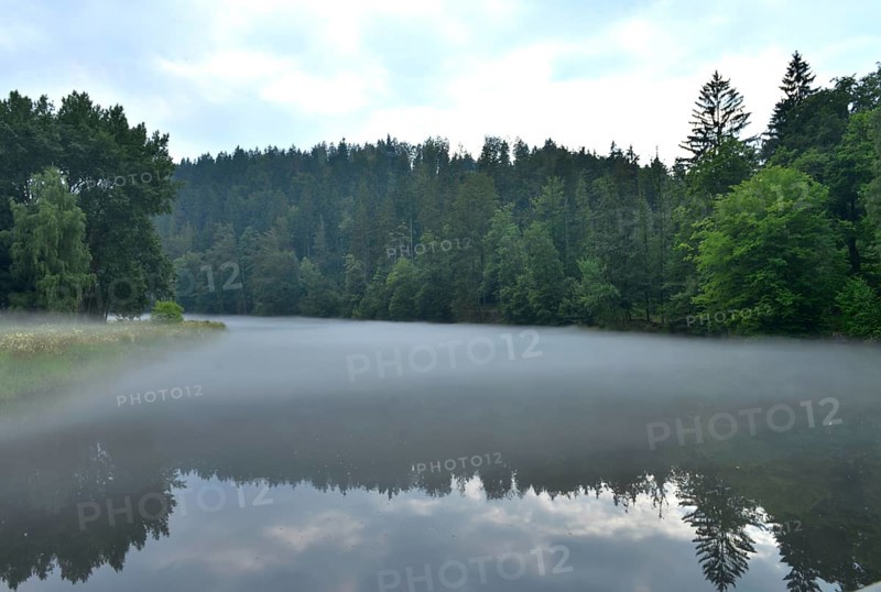 Nebel