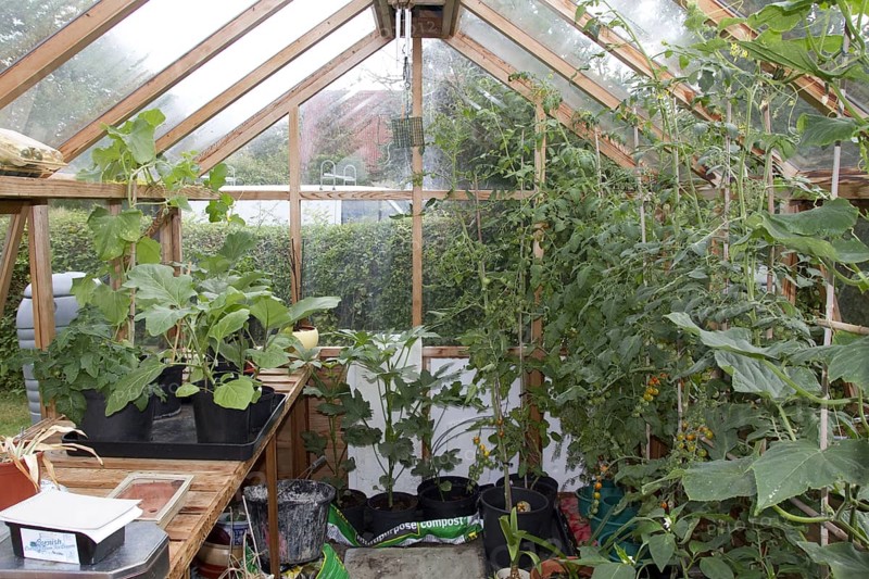 Greenhouses