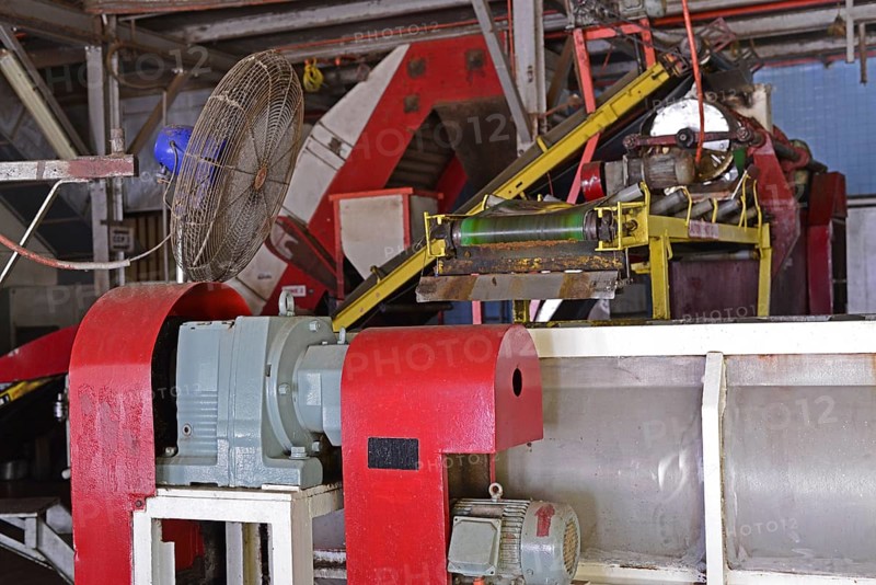 Tea factory